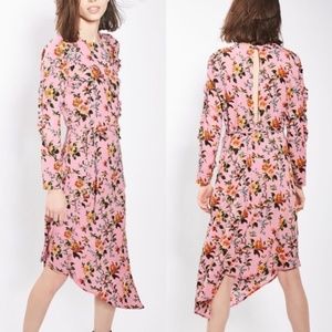 Topshop Midi Dress NEW sz 4 Women Long Sleeve Botanical print Birds